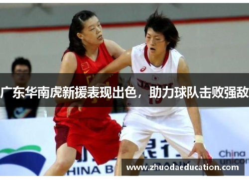 广东华南虎新援表现出色，助力球队击败强敌