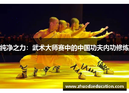 纯净之力：武术大师赛中的中国功夫内功修炼